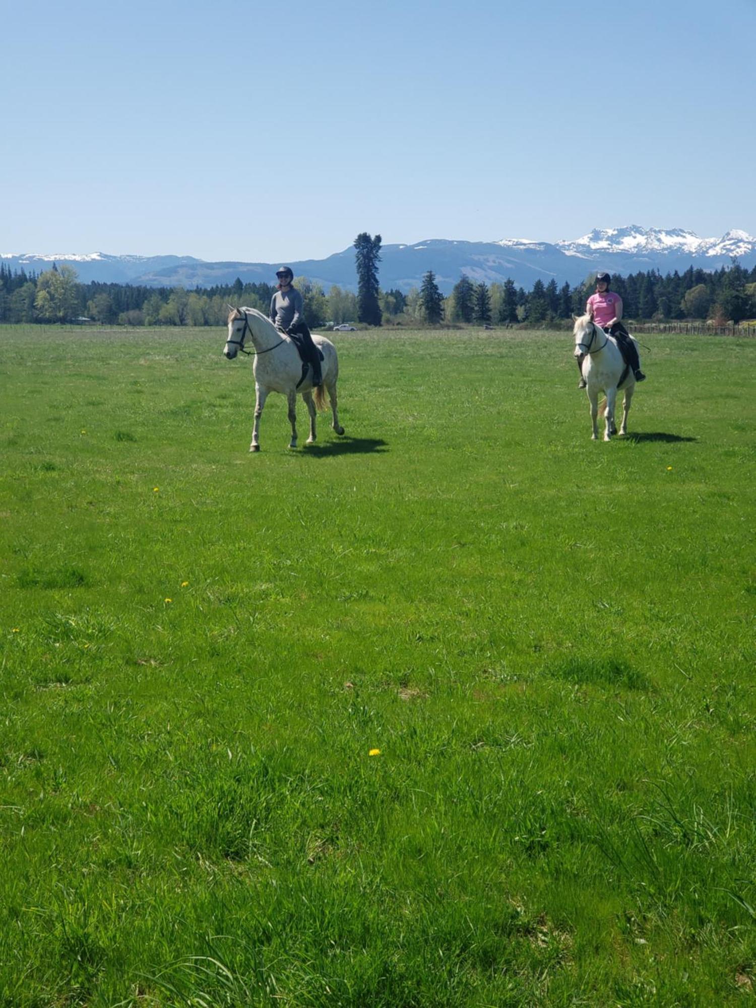 Paradise Acres Ranch Nanoose Bay Экстерьер фото