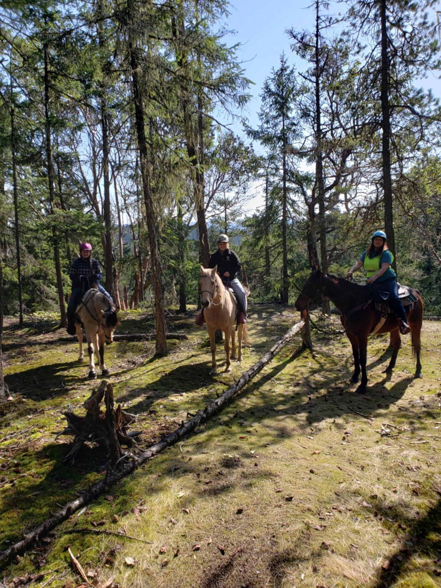 Paradise Acres Ranch Nanoose Bay Экстерьер фото