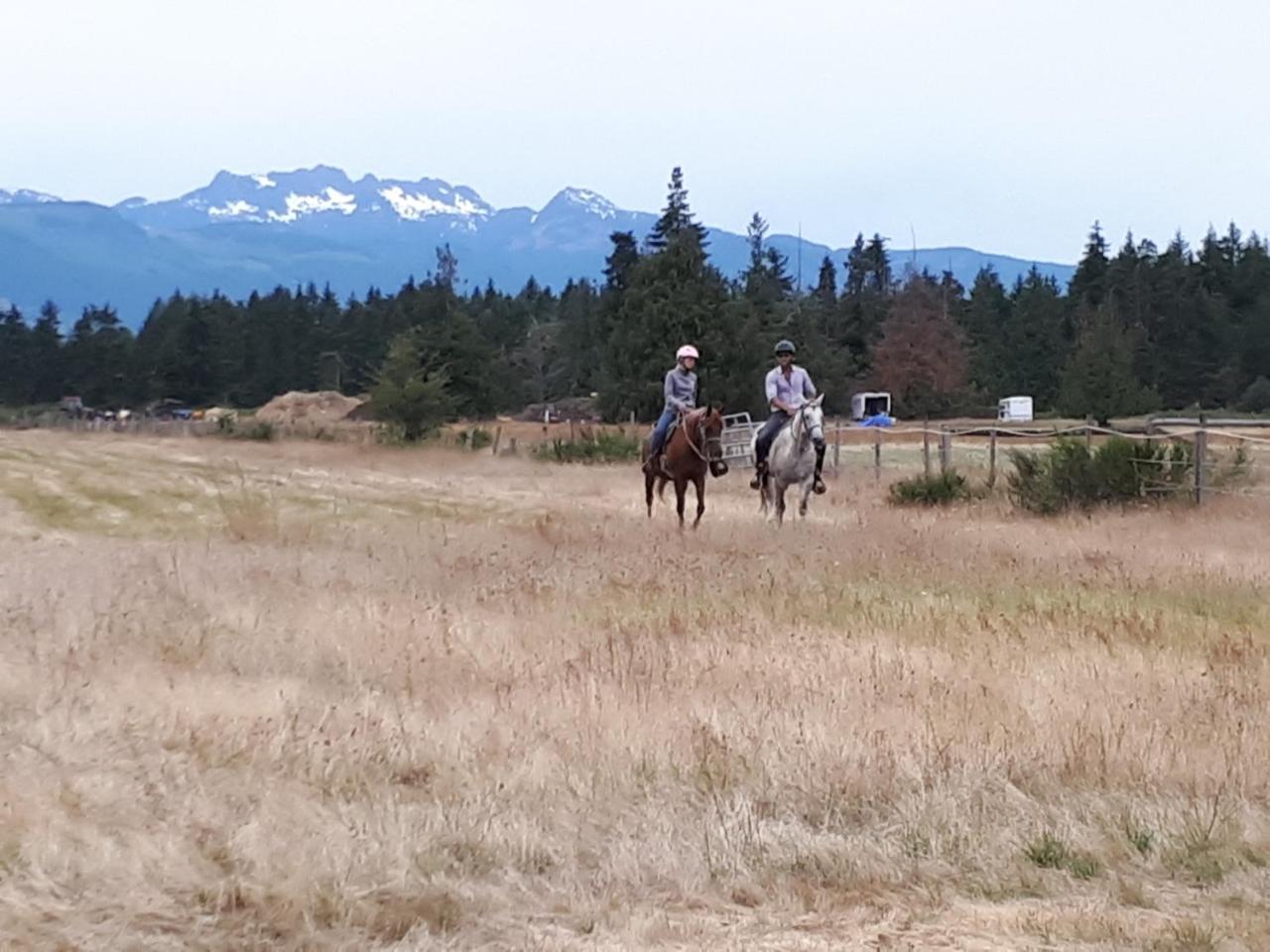 Paradise Acres Ranch Nanoose Bay Экстерьер фото