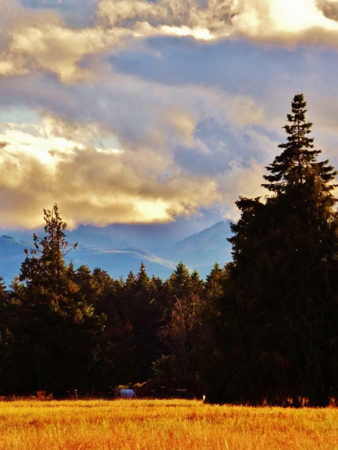 Paradise Acres Ranch Nanoose Bay Экстерьер фото