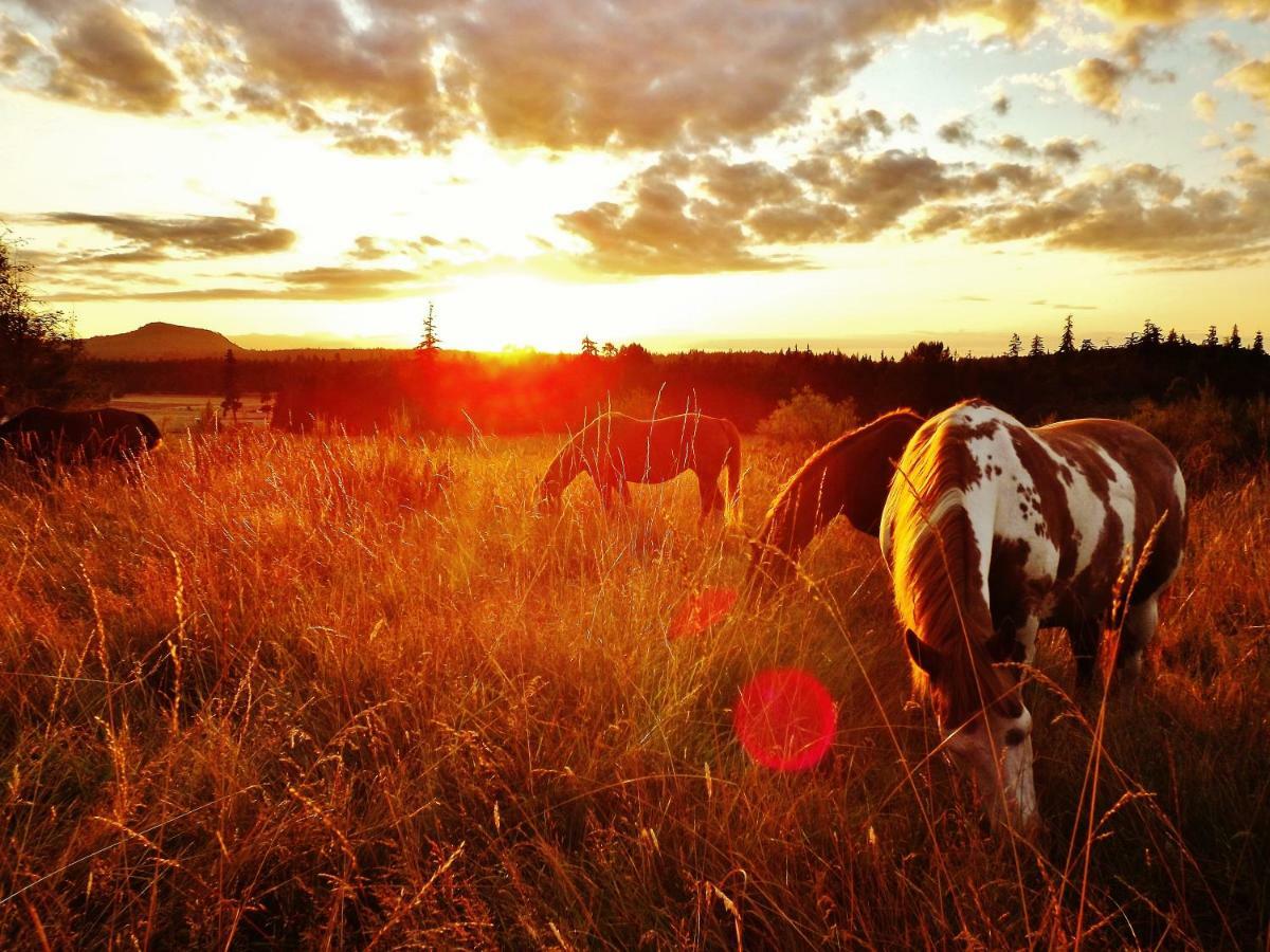 Paradise Acres Ranch Nanoose Bay Экстерьер фото